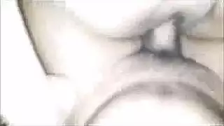 سكس زوامل بجودة عالية