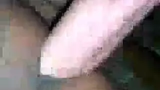 ترضع وتنتاك من زب حصان في الاسطبل