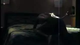 عربي اتصال مسر ٢٠٢٣