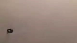 الجمهور يجعل الشقراء تتوسل إذلال علني إباحي