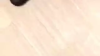 يتم ترويض أهواء عاهات المطعم بالجنس الفموي والشرجي العميق