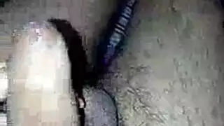 بنيه بيضه مثل الثلج يتراجع جلب حيوان
