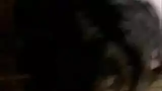 أسخن المشاهد: مقاطع إكس إكس إكس من نجوم البورنو الأفضل والفتيات المثيرات
