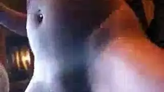 كس عاري محلوق تماماً من أجل فم صديقتها الجائع
