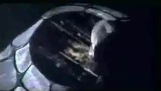 انطونيوسليمانالعكر