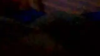 أرشيف إباحي 2017: فيديو من الساعة 11:29 صباحاً