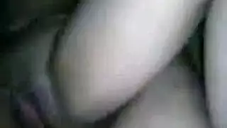 نجيك جزائرية