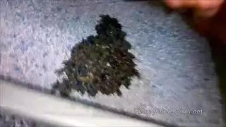 جماع ثنائي إكس إكس إكس: سمراوتان مثيرتان تستسلطان لرجال مثيرين عدوانيين