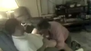 الابنوس المربرب