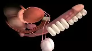 سكس بنت وأخوها ينيكو بعض في البيت لوحدهم