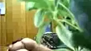 هوية مخفية، شهوة مكشوفة في فيلم إباحي