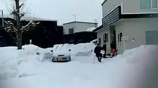عمات سمينات مع فتحات مشعرة وتحت الإبط في جنس صريح