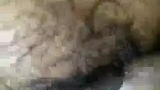 ايبيه وسوري