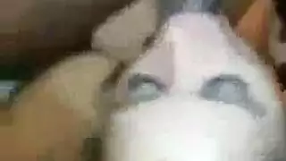 رجل أسود ينيك فرج المرأة الناضجة بعنف
