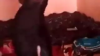 حفلة إباحية: عاريات يتعرضن لجنس جماعي من رجال مثارين