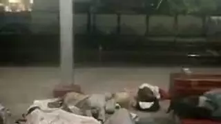 جنس مراهقين هاردكور: ركوب قاسي على قضيب سميك