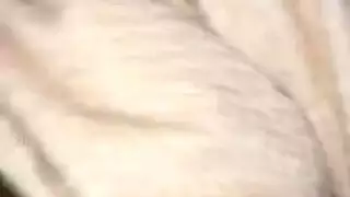 قذف على الوجه دون توقف