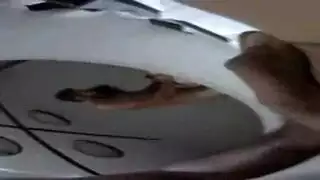 نيك بنات مع ينات