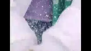 سكس فلو فلوكس