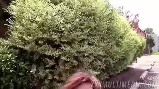 سكس حيوانات قرود ينيك في كلاب