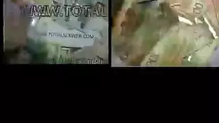 بدأت الحبة، والآن هي وعاء للمني