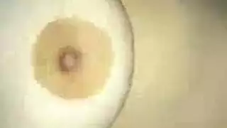 لو طري