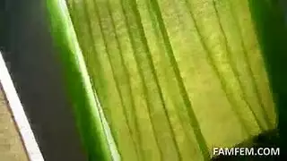 خيال المراهقة الأقصى: أن تكون مكاناً للسائل المنوي