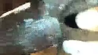 تحرش وھي عاجبھا