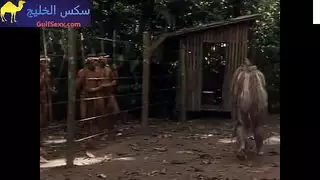 افلام حقول وقعيه سكس