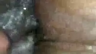 بث مباشر للمحتوى الإباحي، بدون تسجيل مطلوب