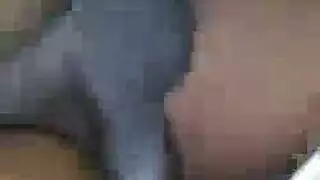 الهرة مزدوجة أسود كس