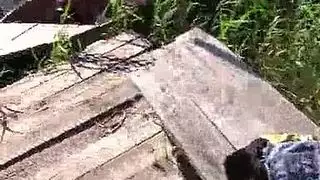 سكس