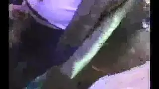 نيك فوري مع فتيات مثيرة إباحية هاردكور