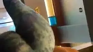 يرتدي الملابس وينيكها