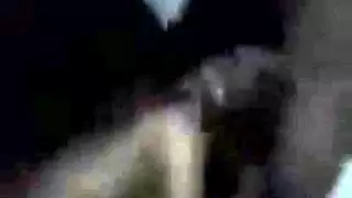 المراهقات يمارسن الجنس كالحيوانات في تجميع أفلام إباحية خام