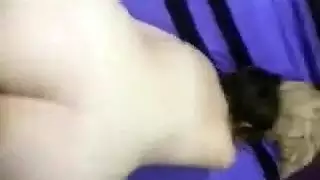 هايجه موزه