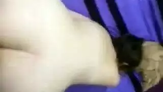 هاي بوتر
