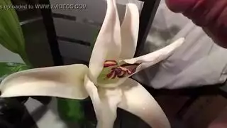 شقراء مدهونة تسيطر على جنس صريح على طبعة الزهور