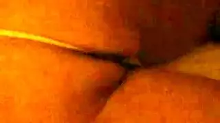 هنسي ذكى