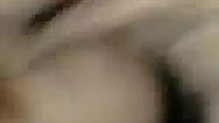 الحمار الكبير عشيقة
