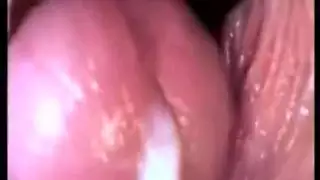 امتص قضيبي