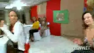 نيك فلا الجزائر