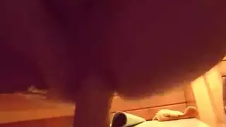قرنية الديك