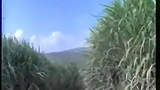 كىچئىك قىز