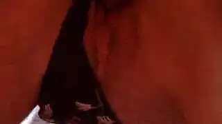 اعطينالمباحافلامسييكسي