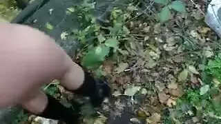 استعباد قوي ونيك ممتع