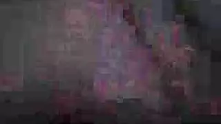 الشاب العربي يرفع فيديوهاته الجنسية الصريحة