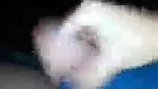 امرأة دسار مدخنة تنيك رجل