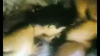 جماع إباحي مع نساء لا يشبعن
