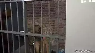 سر المترجمة: شرج على طاولة المؤتمر